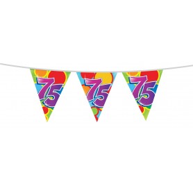 Vlaggenlijn multicolor 75 jaar